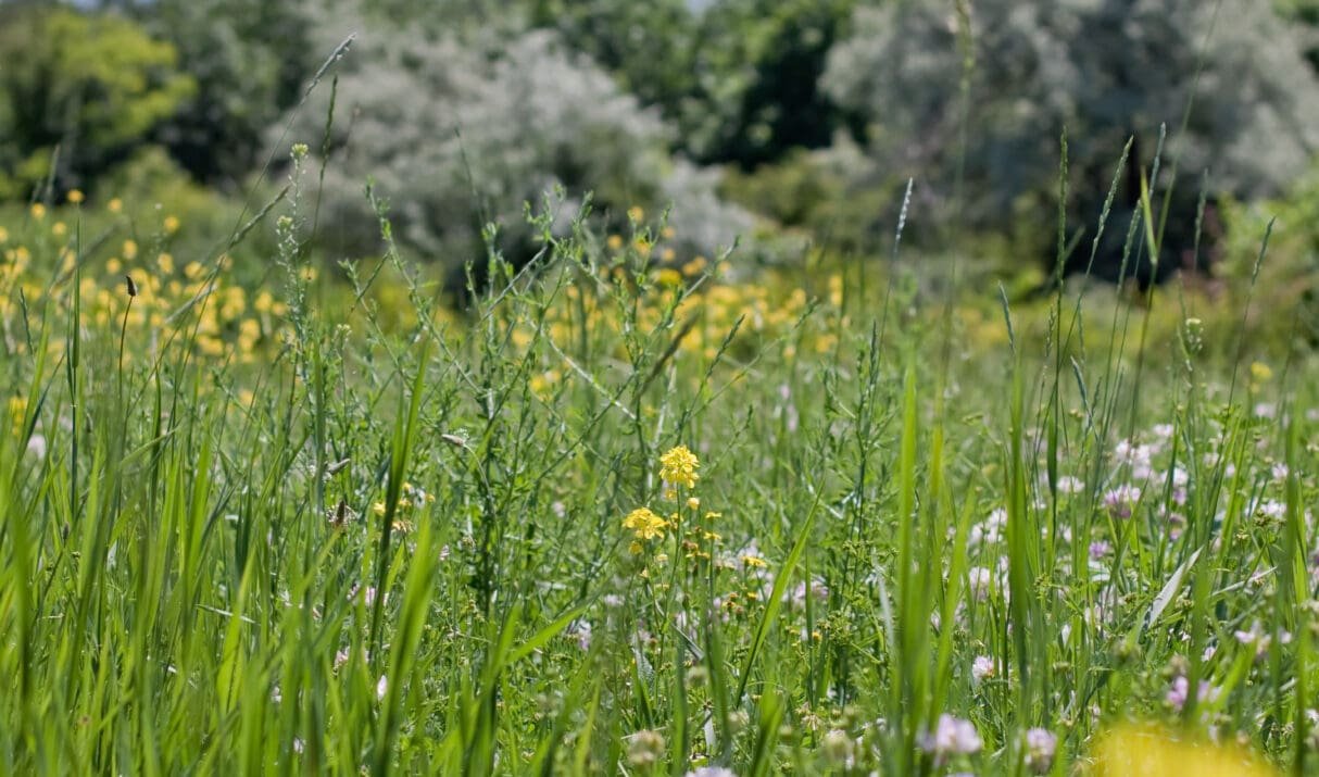 About women, unhealthy patterns and burnout